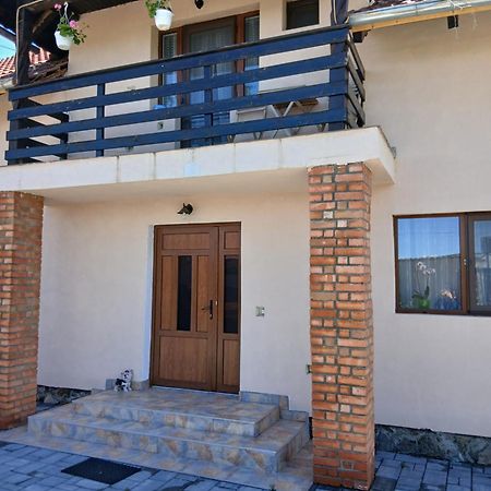 Casa Loredana Cartisoara Ngoại thất bức ảnh