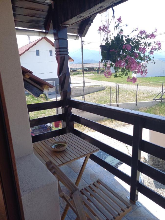 Casa Loredana Cartisoara Ngoại thất bức ảnh