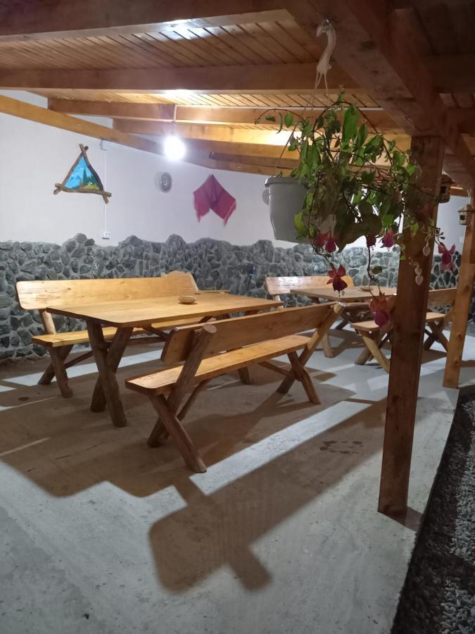 Casa Loredana Cartisoara Ngoại thất bức ảnh