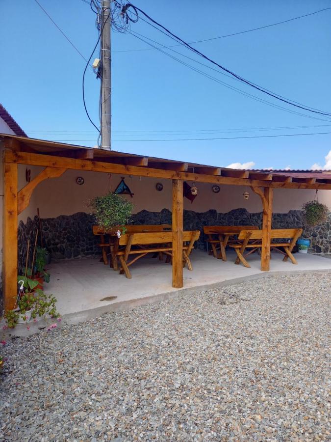 Casa Loredana Cartisoara Ngoại thất bức ảnh