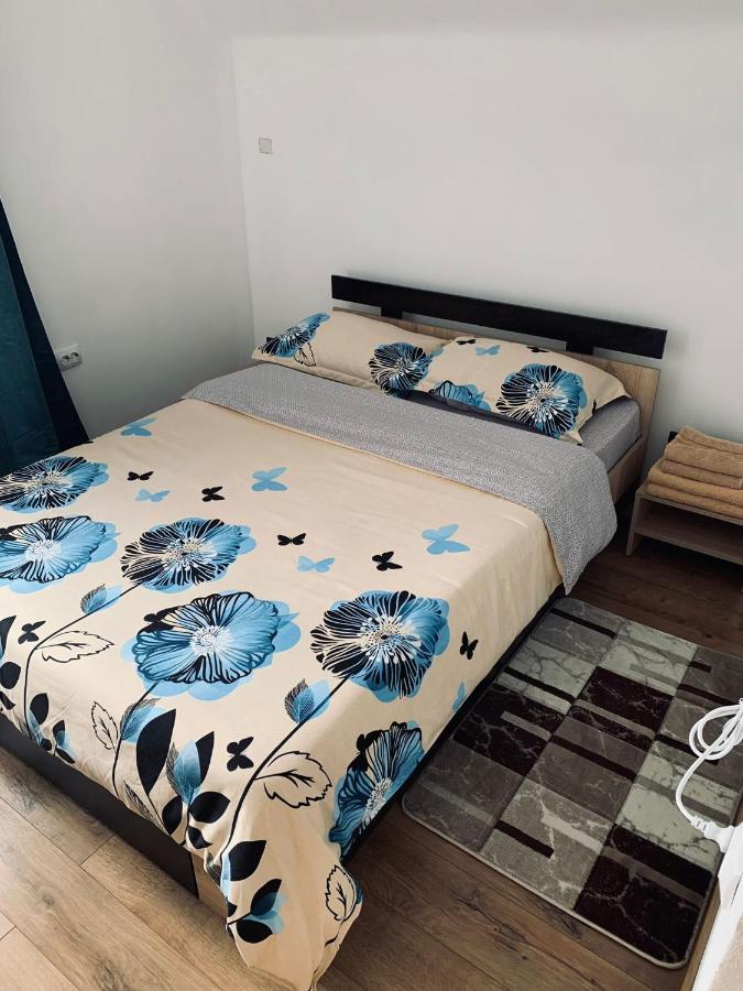 Casa Loredana Cartisoara Ngoại thất bức ảnh