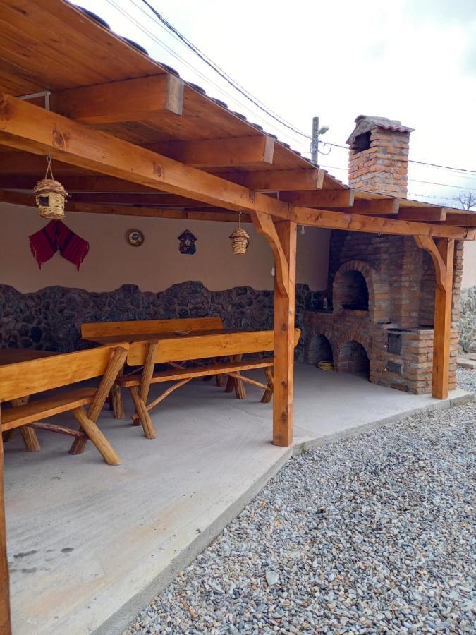 Casa Loredana Cartisoara Ngoại thất bức ảnh