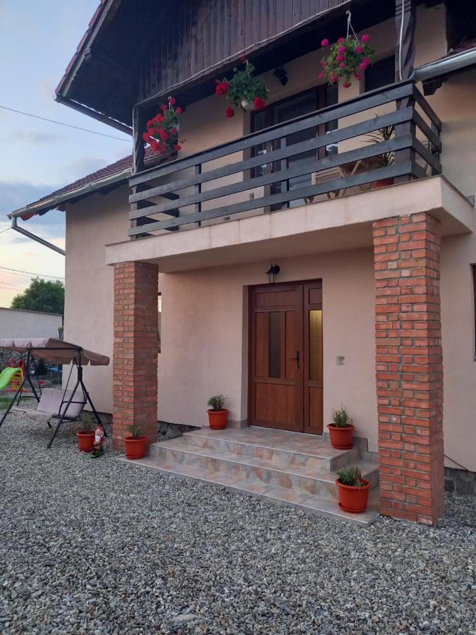 Casa Loredana Cartisoara Ngoại thất bức ảnh