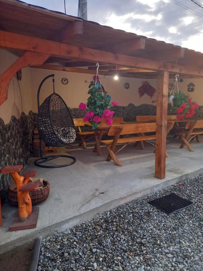 Casa Loredana Cartisoara Ngoại thất bức ảnh