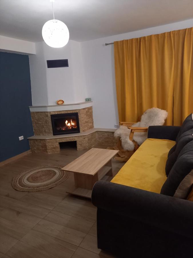 Casa Loredana Cartisoara Ngoại thất bức ảnh